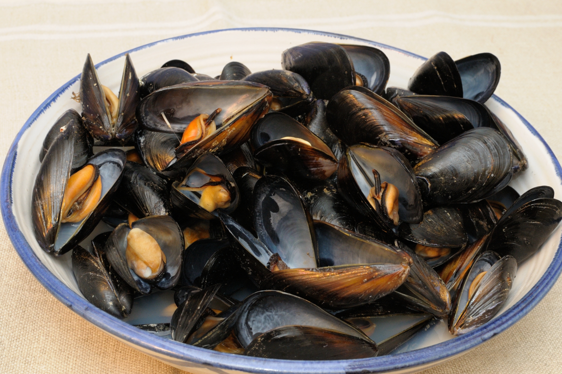 crema de mejillones