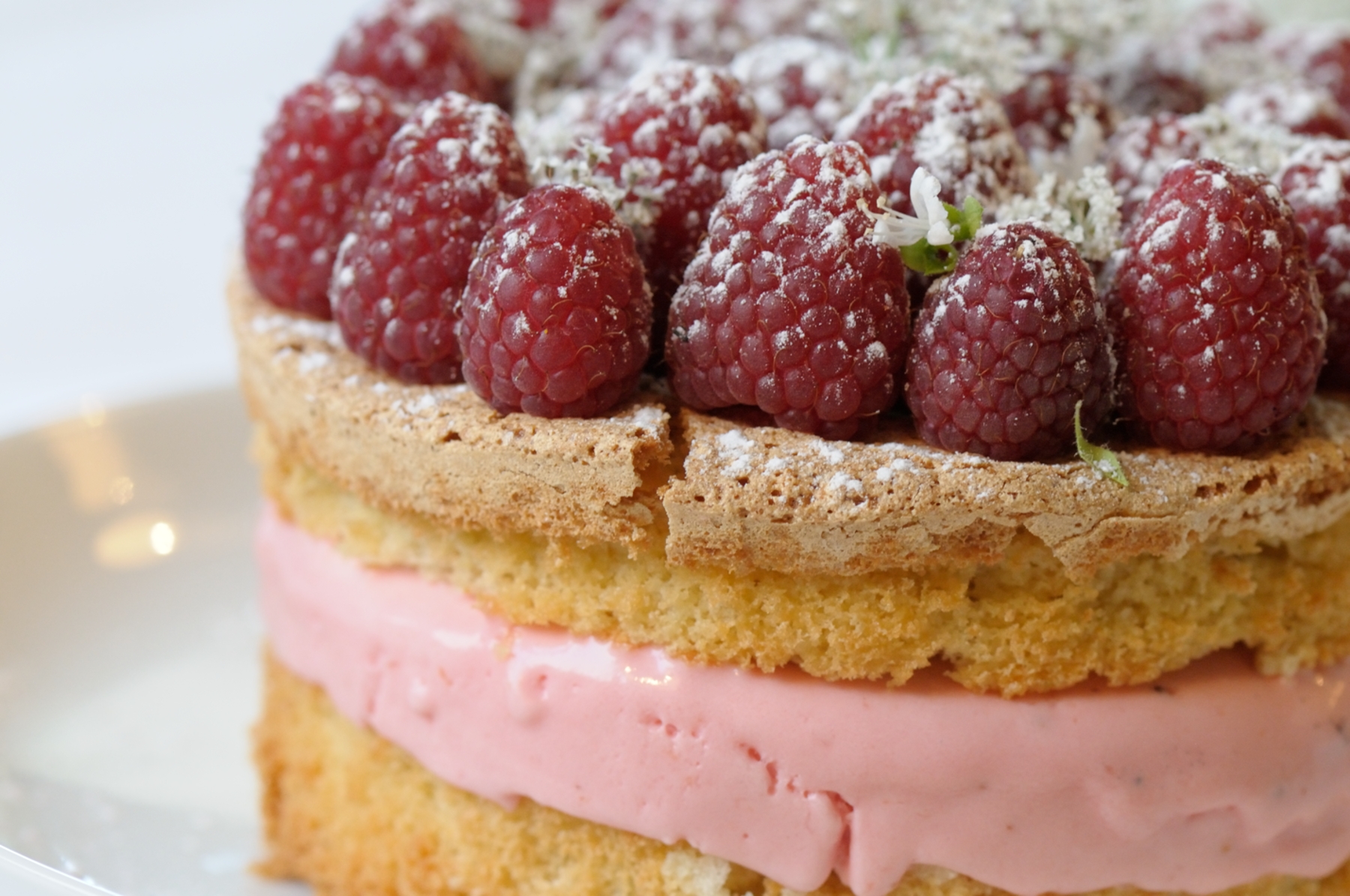 tarta fría de frambuesas