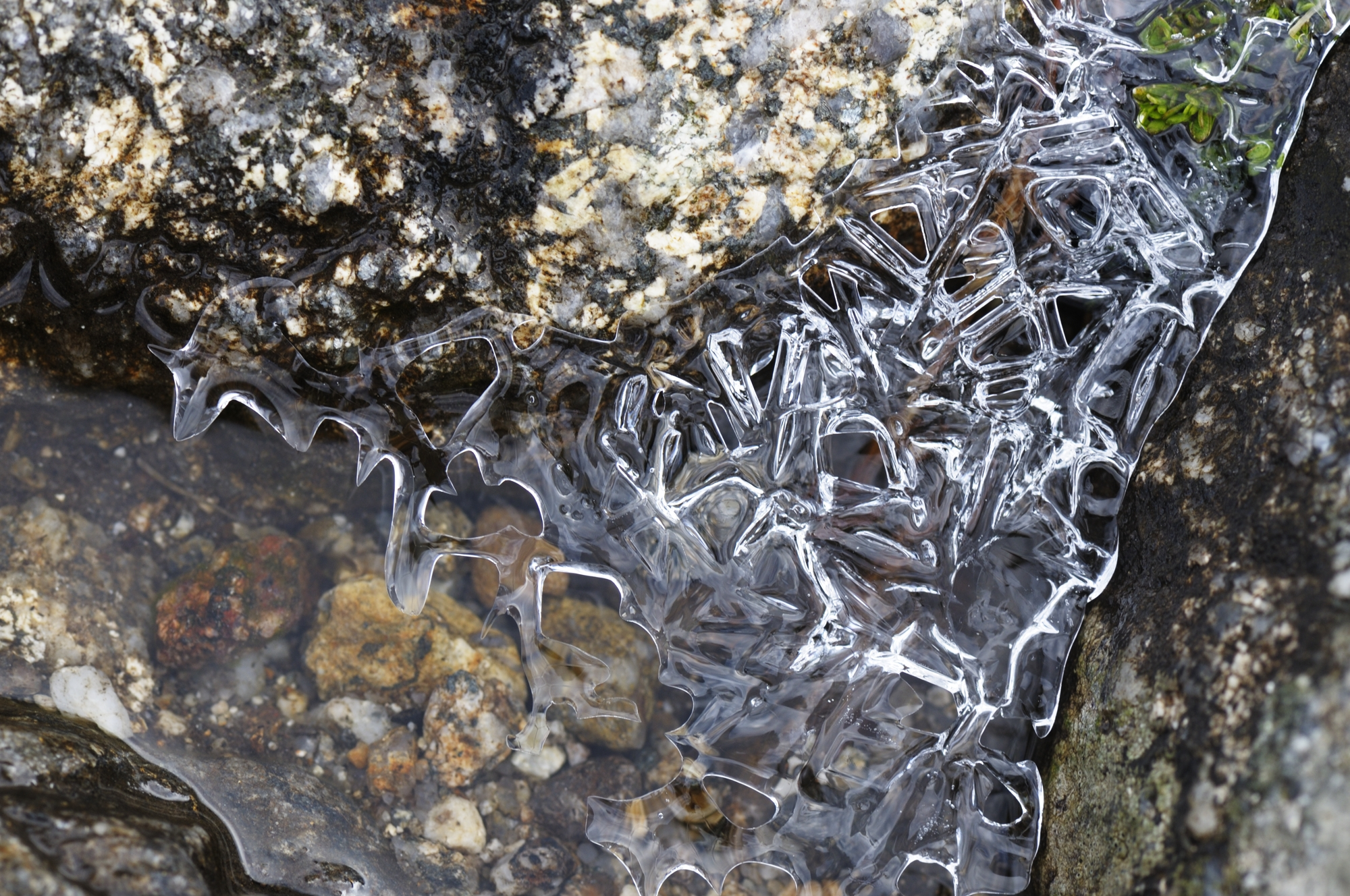 trabajos de invierno