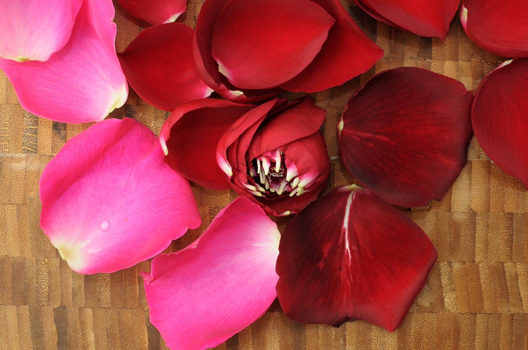 y también las rosas…