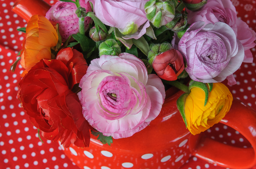 desayunar con fruta: abril