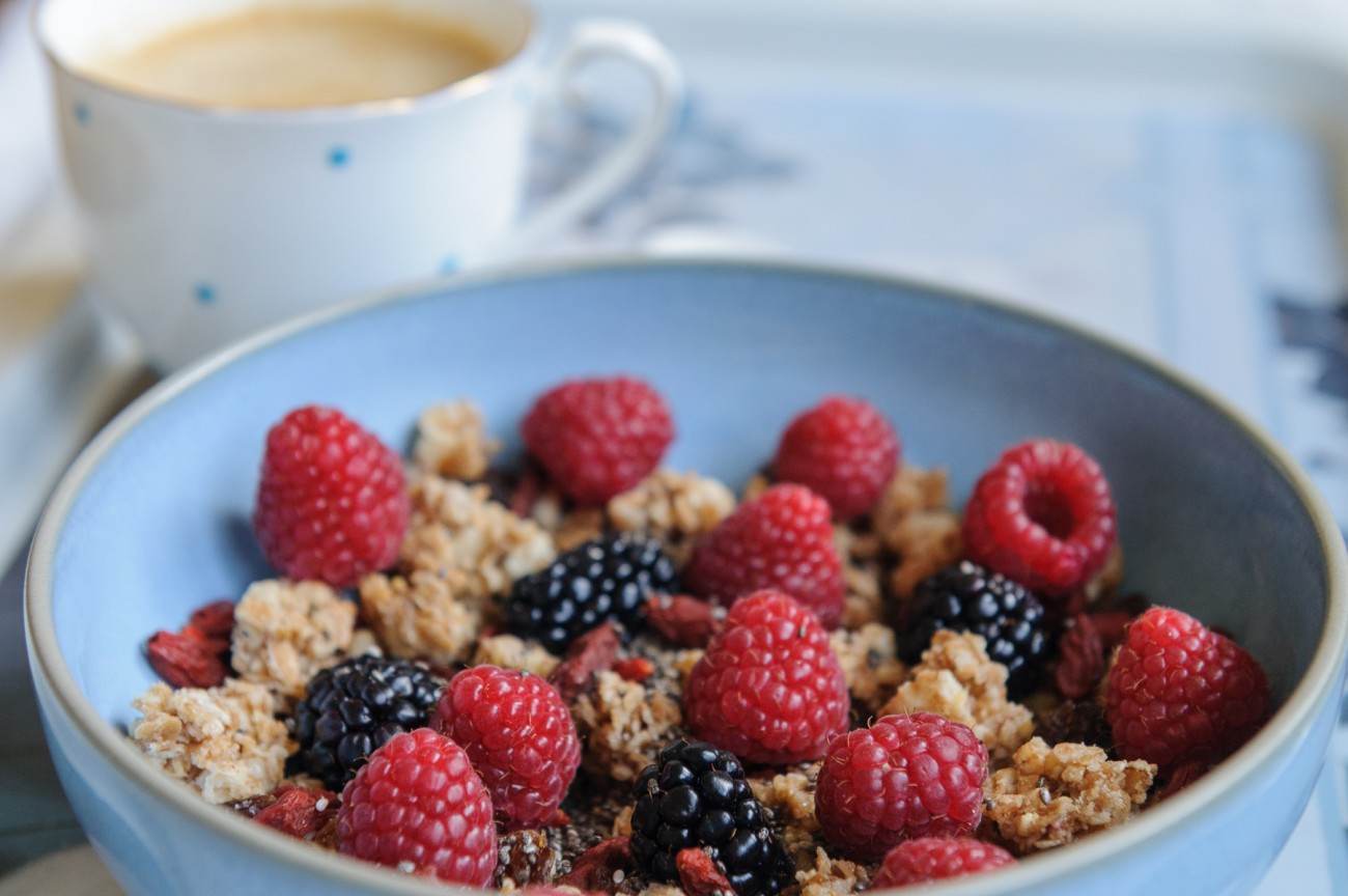 granola con frutos rojos pan y rosas