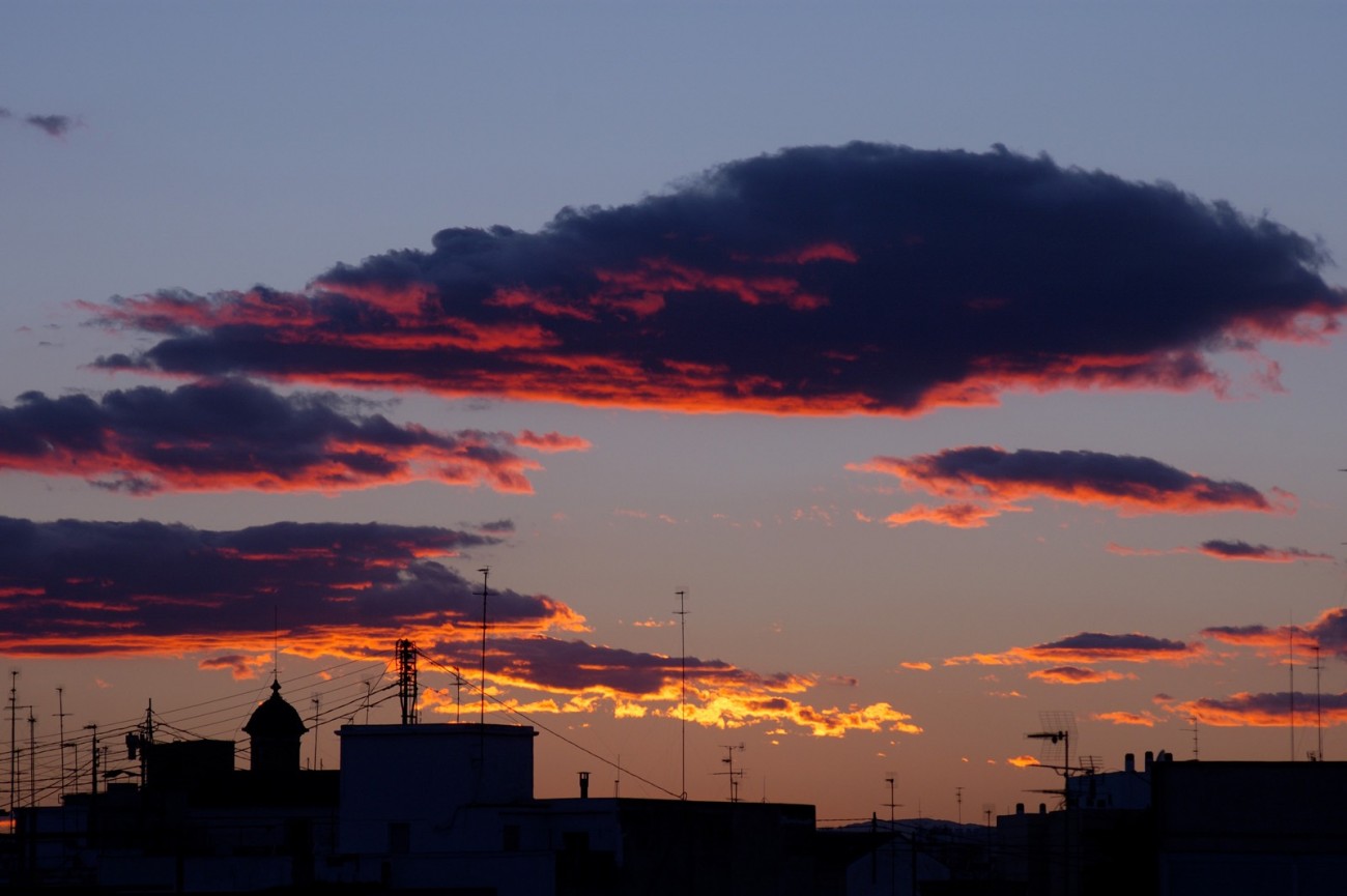 son las ocho de la mañana | pan y rosas